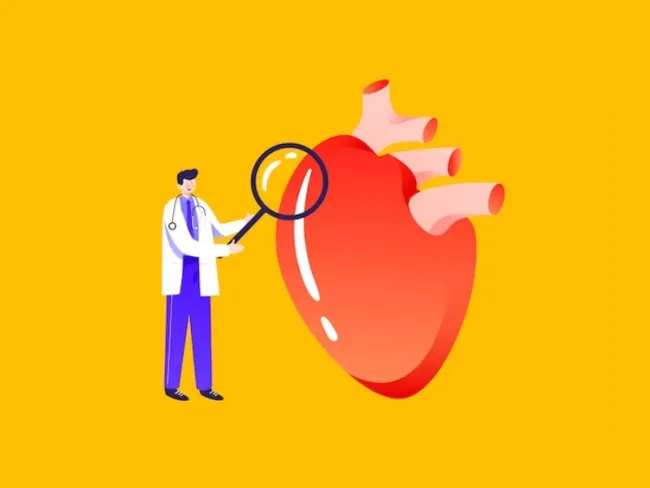 Informații utile despre “Colesterol LDL”