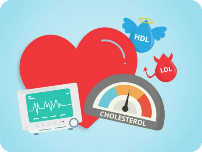 Informații utile despre “Colesterol LDL”